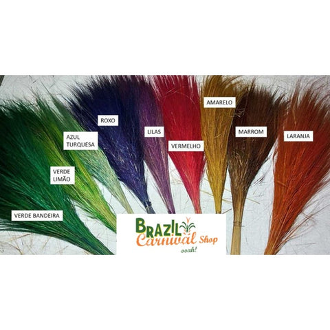 Peacock & Rainbow Pheasant Brazil Wild