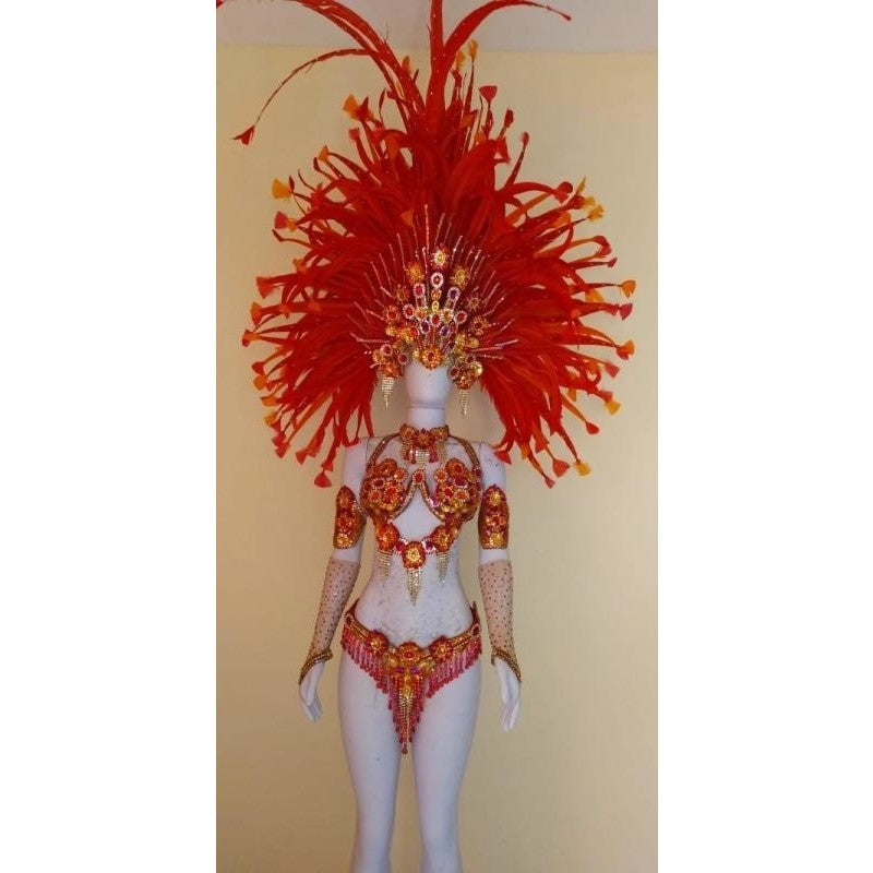 Fogo Rosa Luxurioso Samba Costume