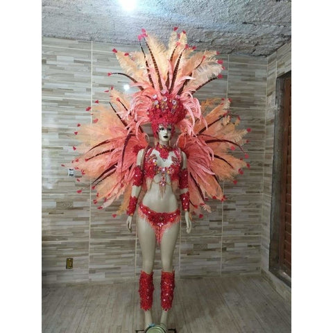 Tropical Exuberance Pink & Orange Samba Complete 10 Piece Costume