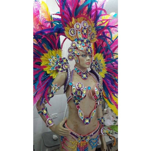 Rosa Intenso Plumes Bikini Samba Costume