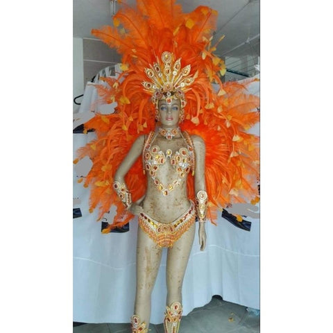 Carnivalia Colors Samba Complete 10 Piece Costume