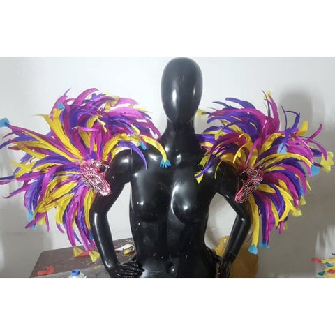 Brazilia do Samba