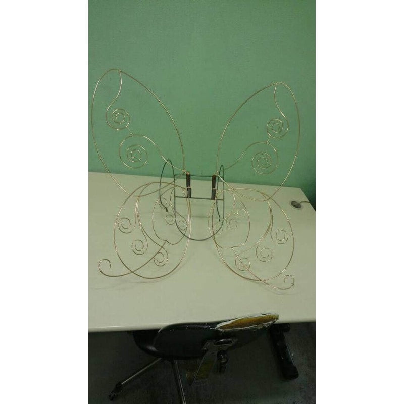 Borboleta Brasileira Costeiro