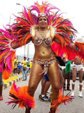 Tribal Deluxe Passion Exotica Complete Carnival Costume - BrazilCarnivalShop