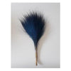 Goat's Beard Grass - BrazilCarnivalShop