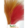 Goat's Beard Grass - BrazilCarnivalShop