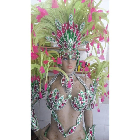 Luxury Silvered Samba Show Costume