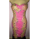 Pretty in Pink Strapless Diva Passista Dress - BrazilCarnivalShop