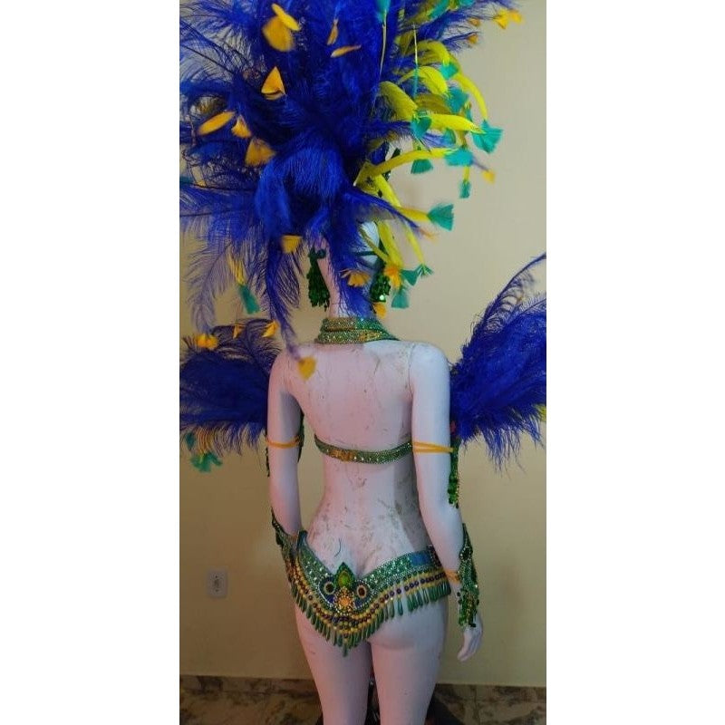 Braziliana Luxuosa Samba Costume - BrazilCarnivalShop