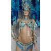 Blue Paradise Samba Complete 10 Piece Costume - BrazilCarnivalShop