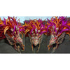 Pink/Orange/Red Deluxe Samba Empress - BrazilCarnivalShop