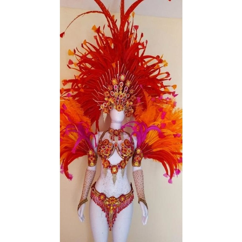 Fogo Rosa Luxurioso Samba Costume - BrazilCarnivalShop