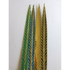 Pheasant Traditional Acetate or Fabric - BrazilCarnivalShop