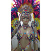 Majestic Colors Rainha Complete 11 Piece Samba Costume - BrazilCarnivalShop