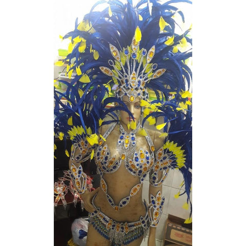 Luxury Silvered Samba Show Costume