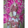 Pinkalicious Luxury Bikini Costume