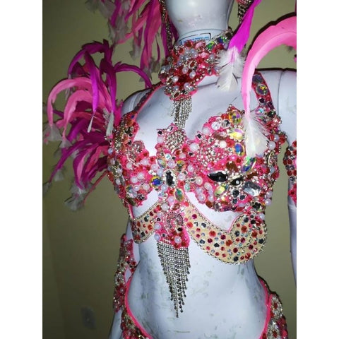 Pinkalicious Luxury Bikini Costume