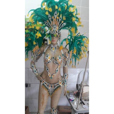 Luxury Silvered Samba Show Costume