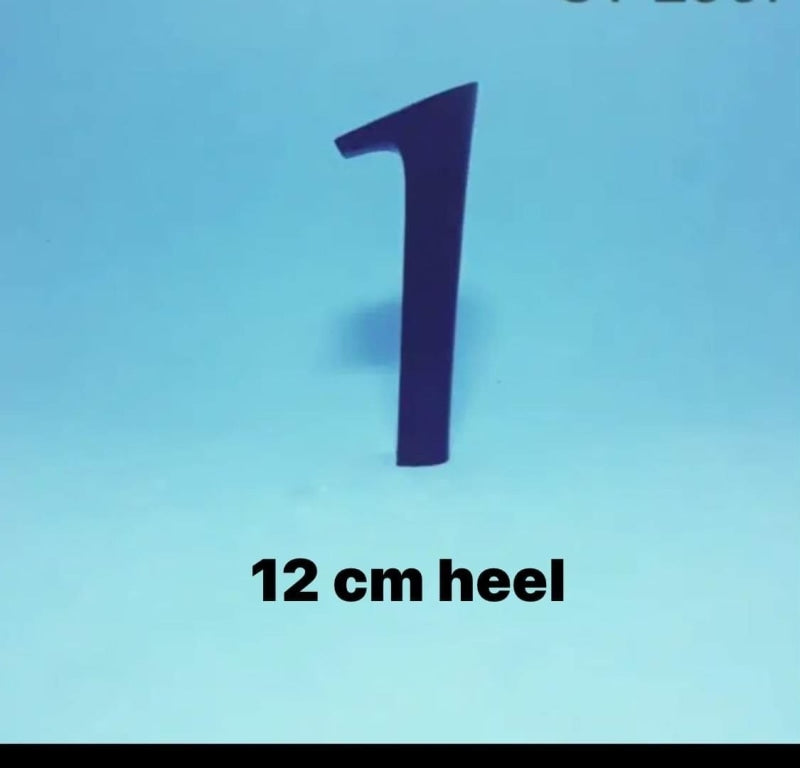 Beleza Pura Sambista