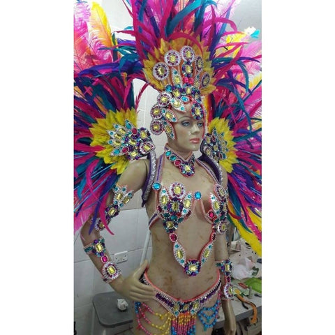 Luxury Silvered Samba Show Costume