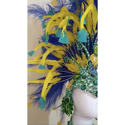 Braziliana Luxuosa Samba Costume - BrazilCarnivalShop