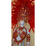 Fogo Rosa Luxurioso Samba Costume - BrazilCarnivalShop