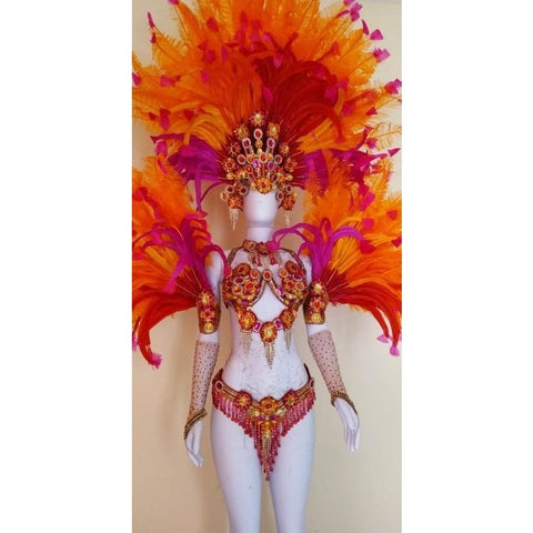 Luxury Silvered Samba Show Costume