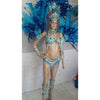 Blue Paradise Samba Complete 10 Piece Costume - BrazilCarnivalShop