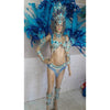 Blue Paradise Samba Complete 10 Piece Costume - BrazilCarnivalShop