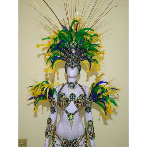 Luxury Silvered Samba Show Costume