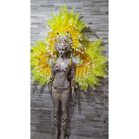 Luxury Silvered Samba Show Costume