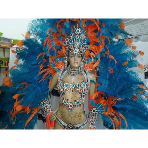 Luxury Silvered Samba Show Costume