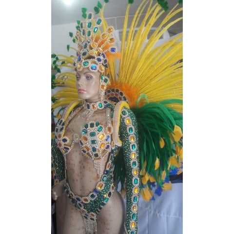 Luxury Silvered Samba Show Costume