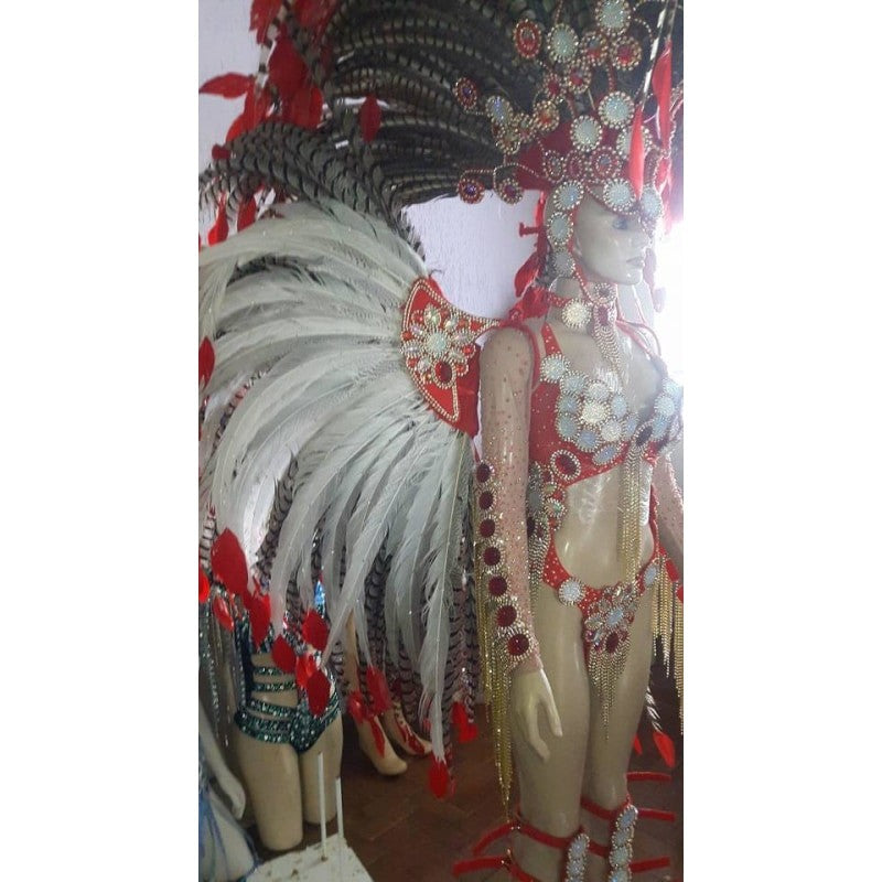 Ruby Red Trikini Rainha Luxury Bikini Samba Costume - BrazilCarnivalShop
