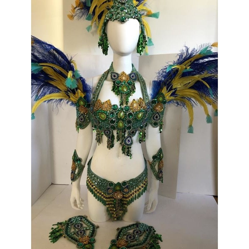 Brasilliana Luxury Bikini Costume