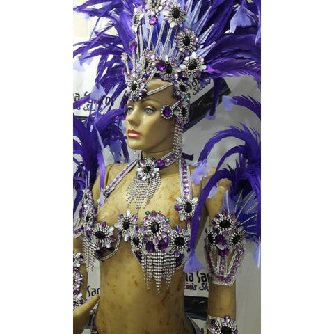 Luxury Silvered Samba Show Costume