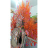 Tropical Exuberance Pink & Orange Samba Complete 10 Piece Costume - BrazilCarnivalShop