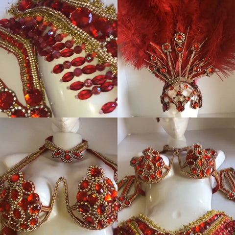 Luxury Silvered Samba Show Costume