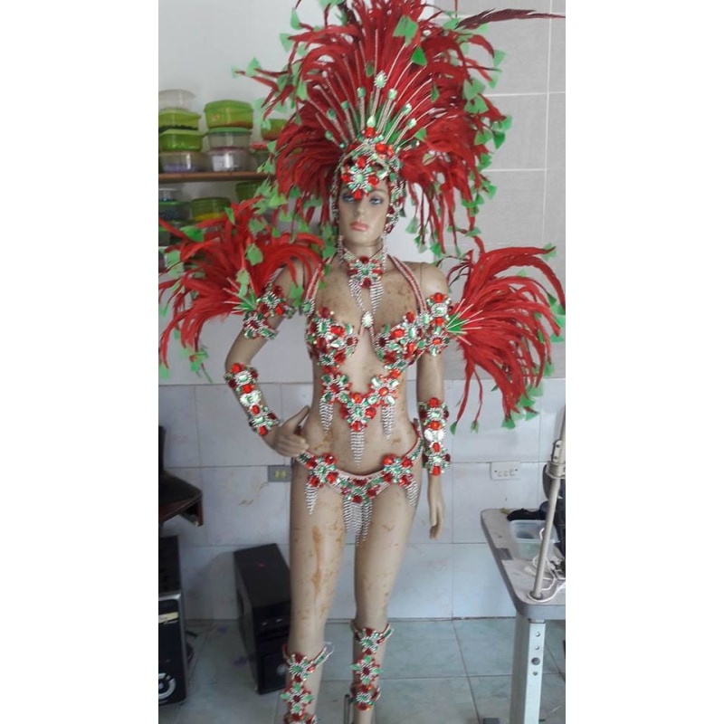 Pitanga & Green Luxury 10 Piece Samba Costume - BrazilCarnivalShop