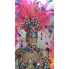 Colors Delight Samba Complete 10 Piece Costume - BrazilCarnivalShop