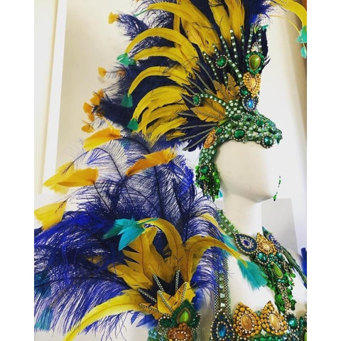 Tanzanite & Yellow Samba Complete 10 Piece Costume