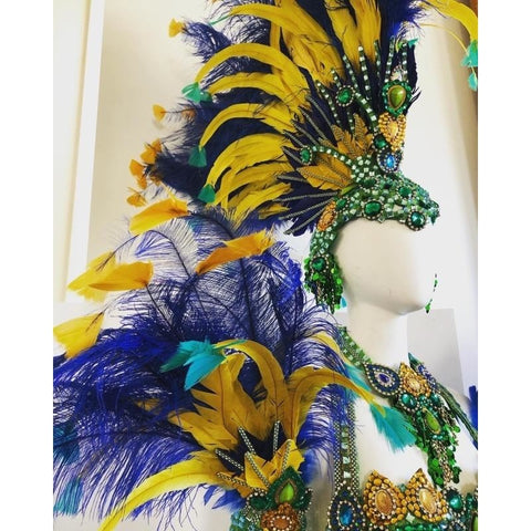 Amazonia Samba Complete 10 Piece Costume