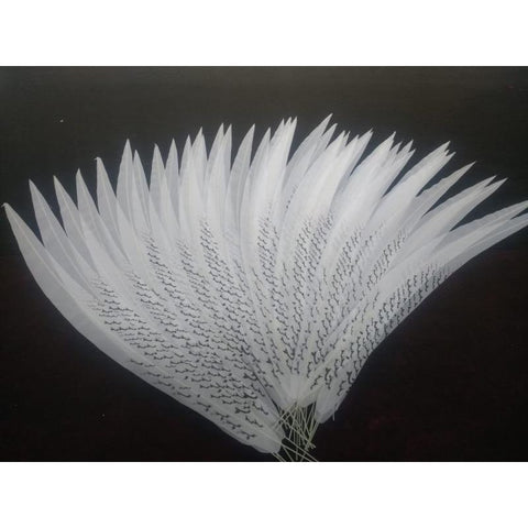 White Plain Acetate Feathers