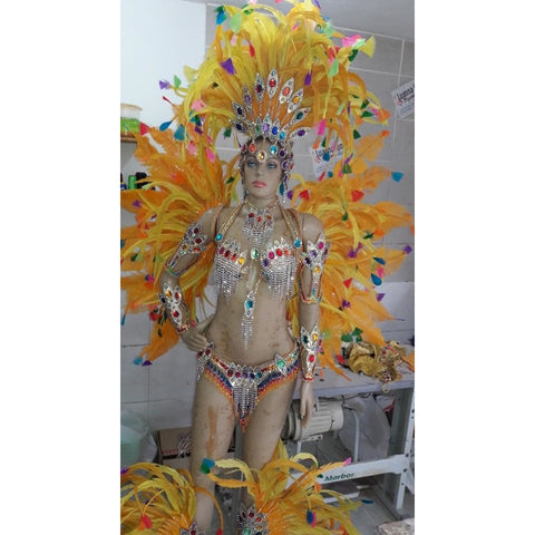 Pitanga & Green Luxury 10 Piece Samba Costume