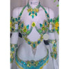 Brasil Esplendor Luxury Bikini Costume