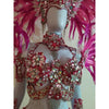 Pinkalicious Luxury Bikini Costume