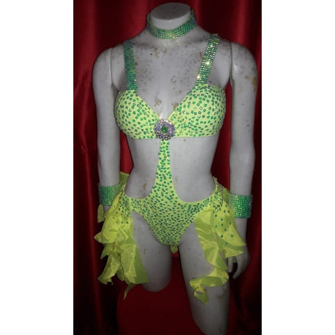 Vera Feathered Samba One Piece Show Costume