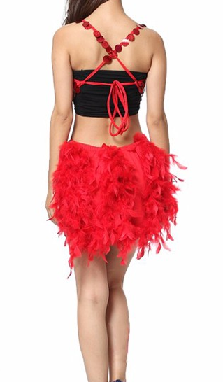 Red Luxury Sequins & Feathers Samba Show Sparkler Dress - BrazilCarnivalShop